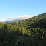 Schoenmuenzblick شقة بيرسبرون