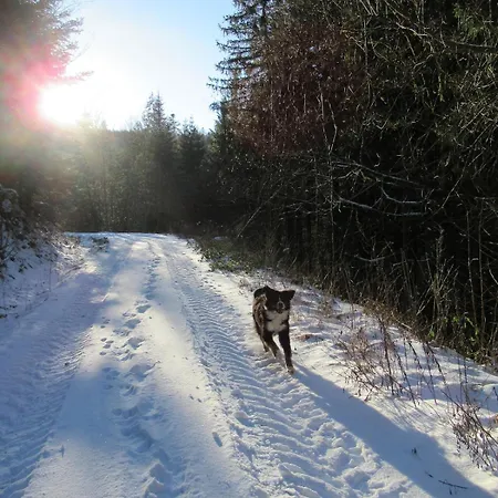 Schoenmuenzblick Lägenhet *