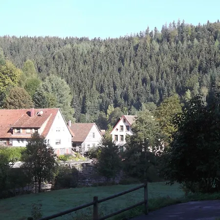 Apartament Schoenmuenzblick *