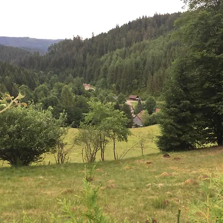 Schoenmuenzblick Baiersbronn