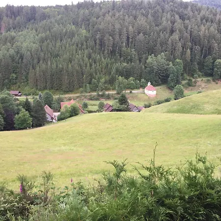 Apartman Schoenmuenzblick *