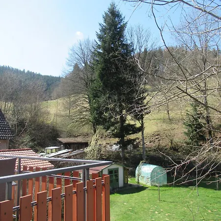 Schoenmuenzblick *