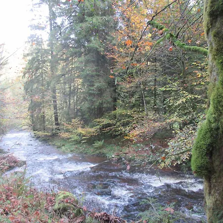 Lägenhet Schoenmuenzblick *