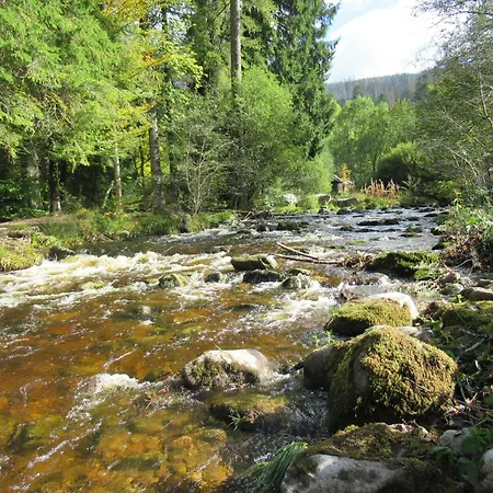 Schoenmuenzblick Baiersbronn