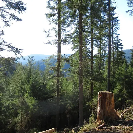 Schoenmuenzblick Apartamento Baiersbronn