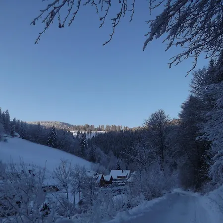 Apartamento Schoenmuenzblick Baiersbronn