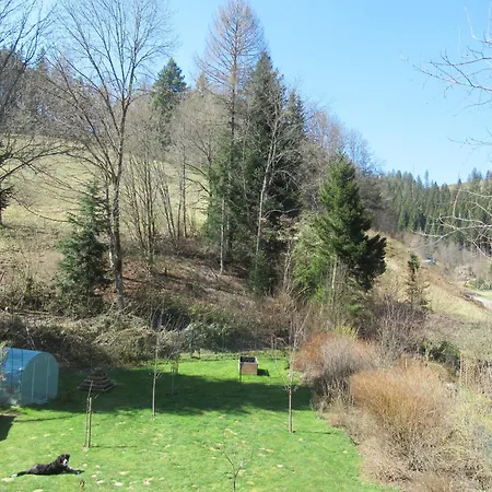 Apartamento Schoenmuenzblick