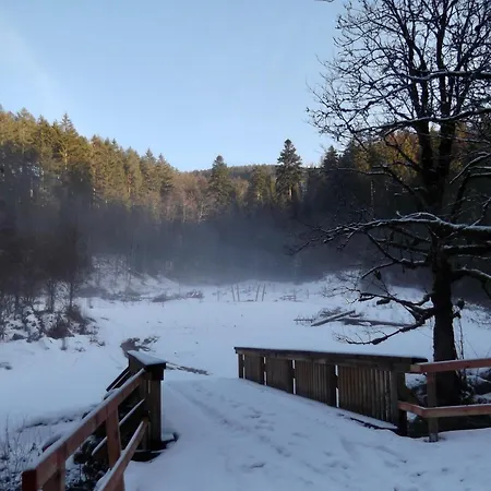 Schoenmuenzblick Lägenhet *