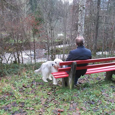 Schoenmuenzblick Lägenhet