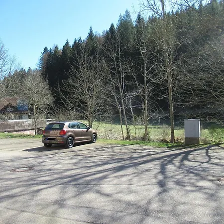 Schoenmuenzblick Baiersbronn