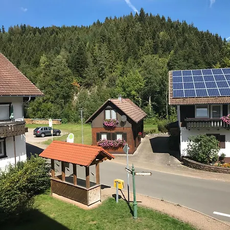 Schoenmuenzblick * Baiersbronn