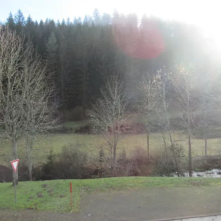 Schoenmuenzblick Apartamento Baiersbronn