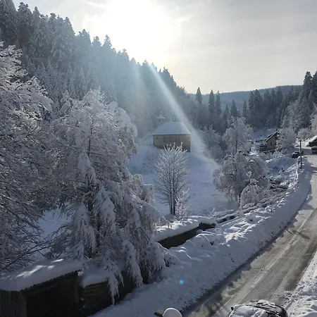 Lägenhet Schoenmuenzblick Baiersbronn