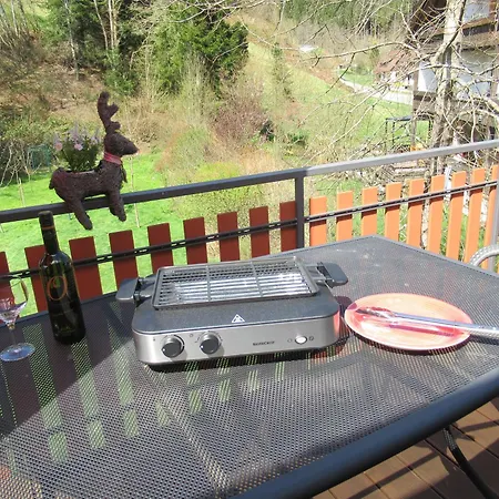 Schoenmuenzblick Lägenhet *