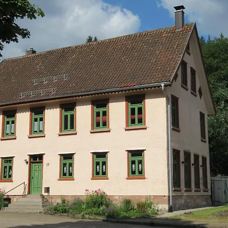 Schoenmuenzblick * Baiersbronn