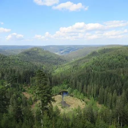 Schoenmuenzblick Lägenhet Baiersbronn