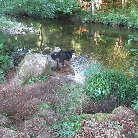 Lägenhet Schoenmuenzblick *