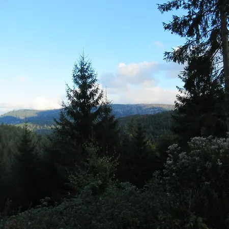Schoenmuenzblick * Baiersbronn