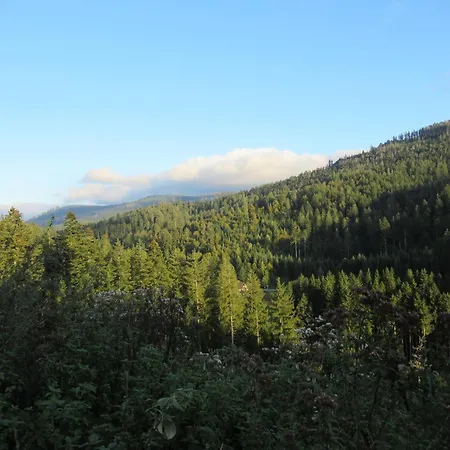 Schoenmuenzblick Daire Baiersbronn