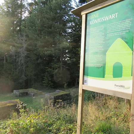 Schoenmuenzblick Lägenhet Baiersbronn